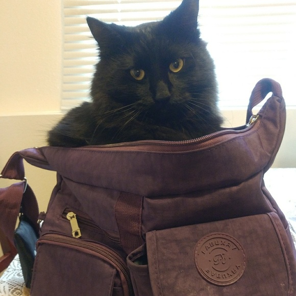 Odin - Picture 3 of 6